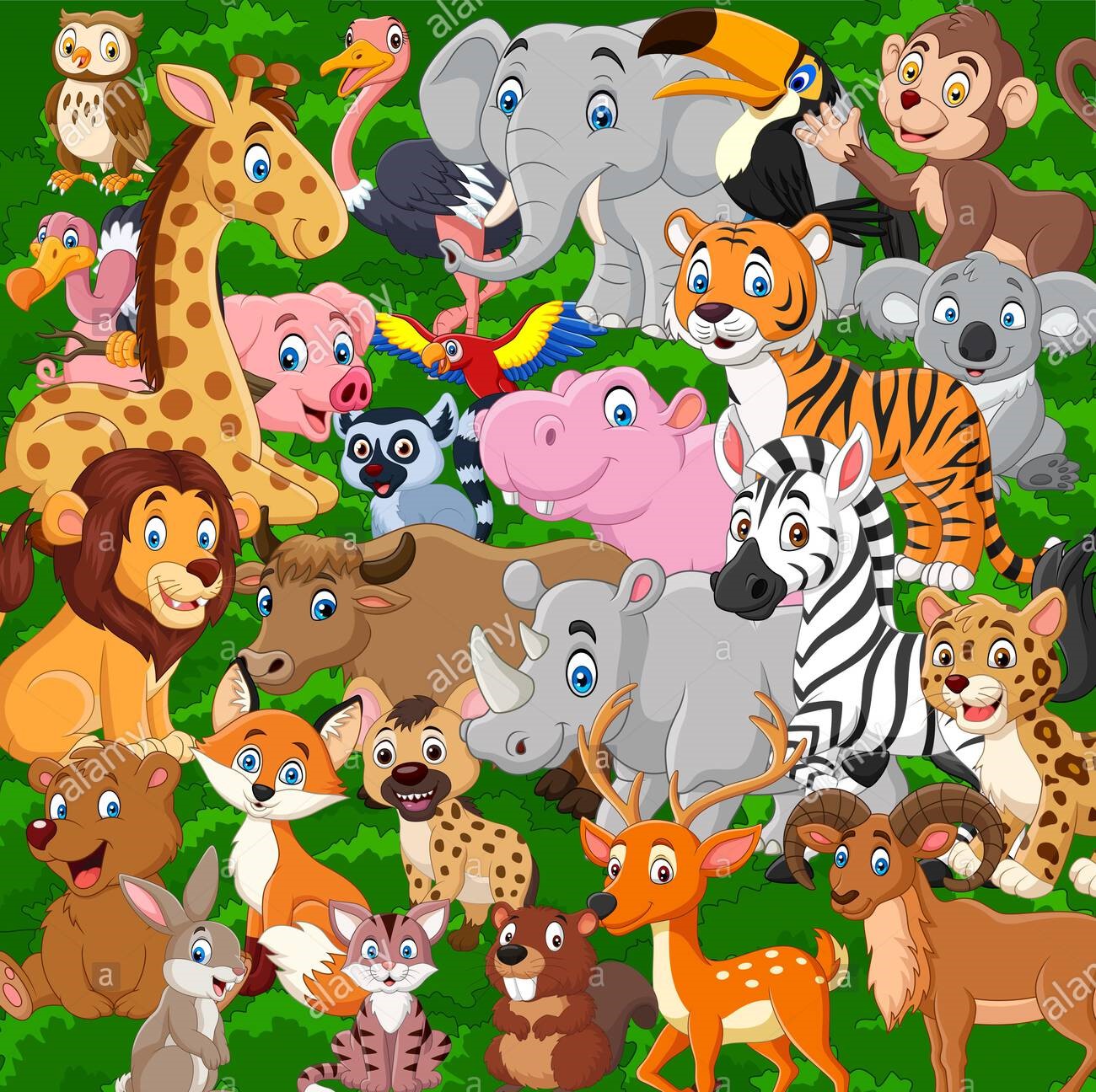 Animals | Quizizz