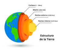 historia de la vida en la tierra - Grado 2 - Quizizz