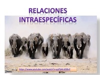 Relaciones proporcionales - Grado 5 - Quizizz