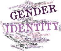 Maksud identiti gender