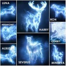 Harry Potter Patronus Quiz Fun Quiz Quizizz