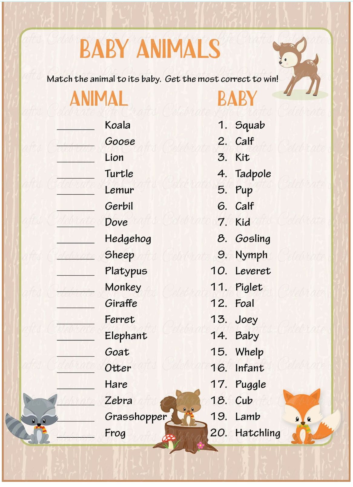 Baby Animal Names | Other - Quizizz