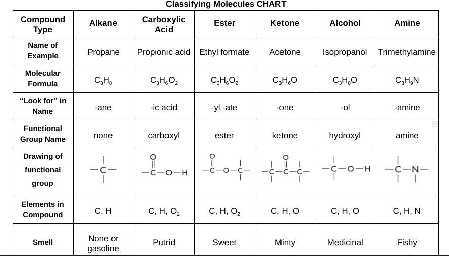 LBC Chapter 6 Functional Groups | Chemistry Quiz - Quizizz