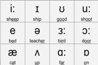 Vowel Digraphs - Grade 10 - Quizizz