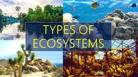 ecosystems - Class 3 - Quizizz