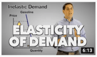 demand and price elasticity - Class 12 - Quizizz