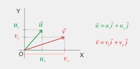 vectores - Grado 10 - Quizizz