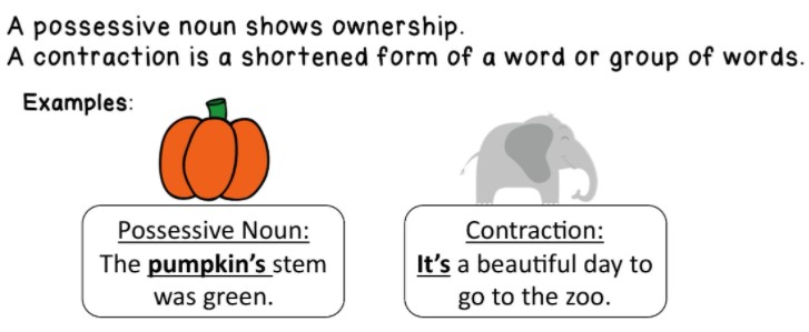 17-worksheets-possessive-nouns-worksheeto