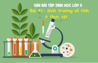 Phép trừ và mô hình của một ít hơn - Lớp 11 - Quizizz