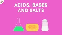 Amino Acids - Grade 7 - Quizizz