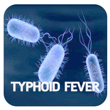 typhoid fever from angelas ashes