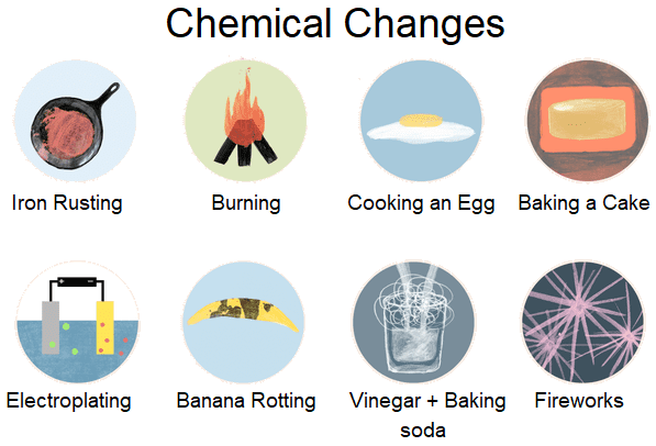 Chemical & Physical Changes | Science - Quizizz