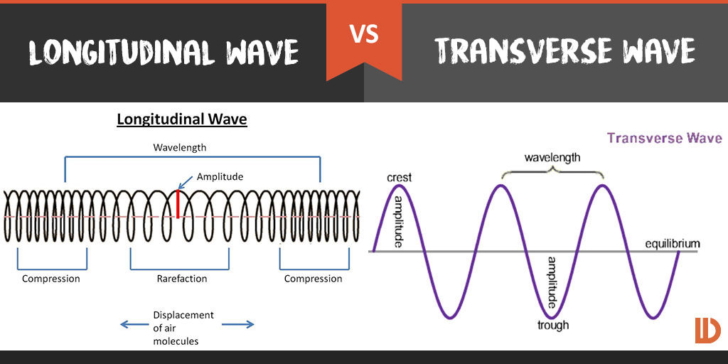 blank transverse wave diagram