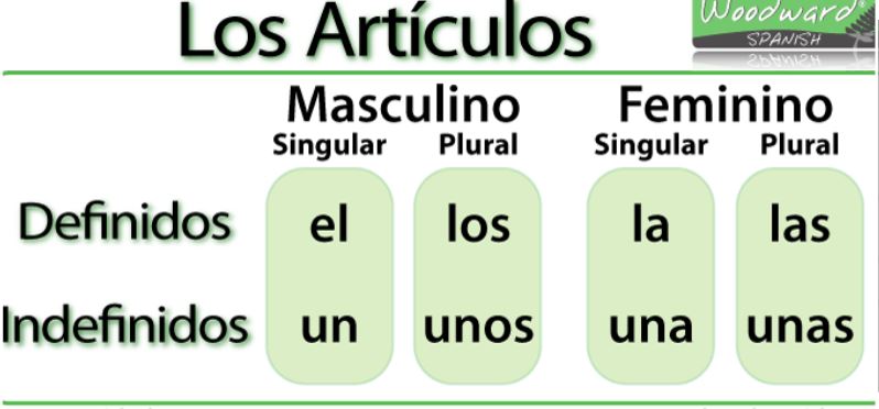 Artículos - Grado 8 - Quizizz