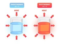 endothermic and exothermic processes - Class 12 - Quizizz