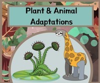 Natural Selection and Adaptations - Grade 4 - Quizizz
