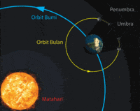 Hari, Minggu, dan Bulan di Kalender - Kelas 5 - Kuis