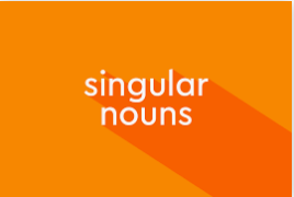 Singular Nouns Flashcards - Quizizz