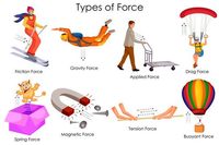 Forces and Motion - Year 4 - Quizizz