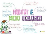 HÁBITAT Y NICHO ECOLÓGICO