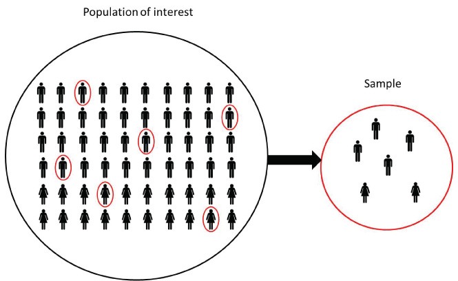 how-to-make-a-population-pyramid-youtube