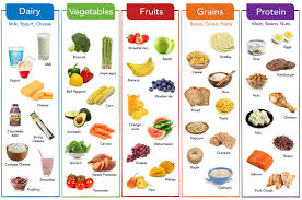 Food Groups | Quizizz