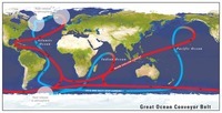 movements of ocean water - Grade 12 - Quizizz