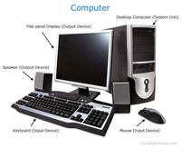 Computer - Year 6 - Quizizz