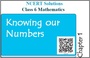 KNOWING OUR NUMBERS -2