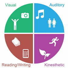 TYPES OF LEARNER | 365 plays | Quizizz