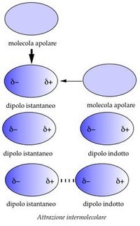 estados de la materia y fuerzas intermoleculares - Grado 12 - Quizizz