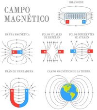 forças magnéticas campos magnéticos e lei de Faradays - Série 5 - Questionário