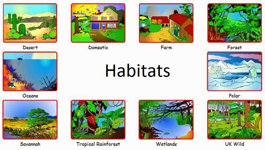 habitats-3rd-grade-quiz-quizizz