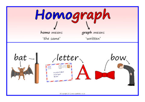 Homofony i homografy - Klasa 4 - Quiz