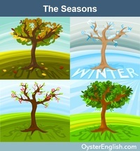 seasons - Grade 9 - Quizizz