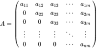 matrices - Grado 11 - Quizizz