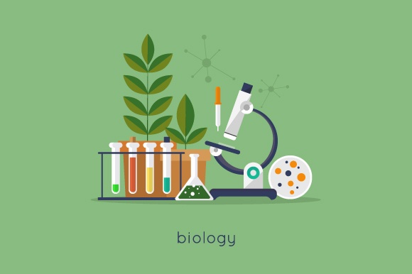 plant biology - Grade 11 - Quizizz