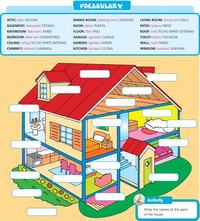 partes de la planta y sus funciones - Grado 8 - Quizizz