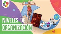 átomos y moléculas - Grado 4 - Quizizz