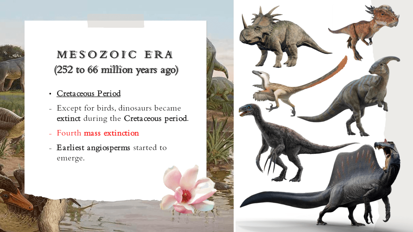 The Geological Time Scale questions & answers for quizzes and tests ...