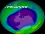 Quiz - AP Ozone Depletion
