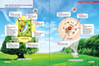 diagram sel tumbuhan - Kelas 7 - Kuis