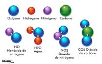 Níqueles - Grado 5 - Quizizz