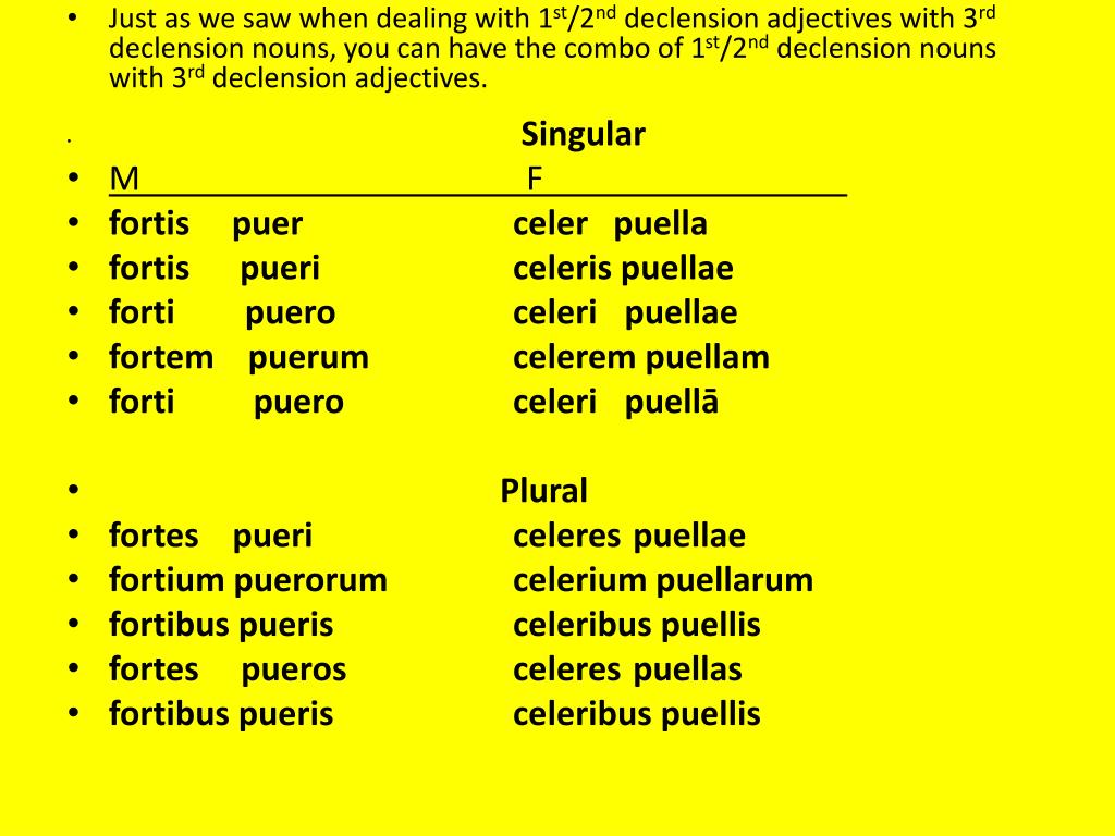 Noun Adj Agreement Latin