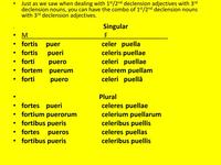 Noun adj agreement Other Quiz Quizizz