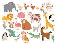 Animals - Year 4 - Quizizz