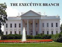 the executive branch - Class 12 - Quizizz