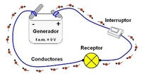 circuitos - Grado 7 - Quizizz