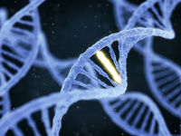 mutação genética - Série 3 - Questionário