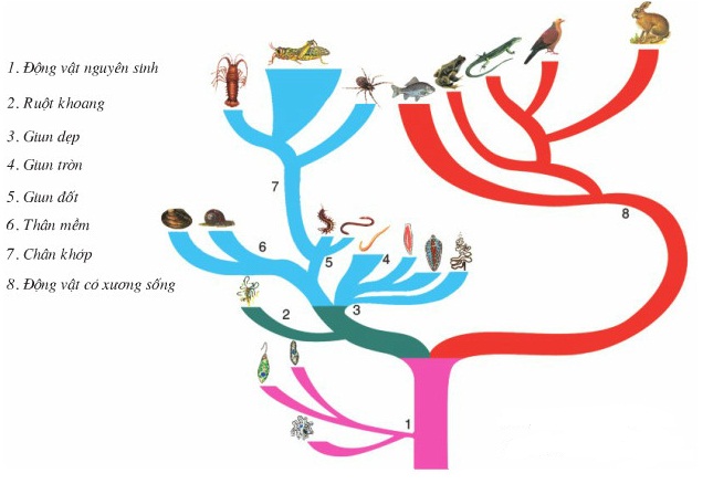 So sánh số tiền - Lớp 7 - Quizizz